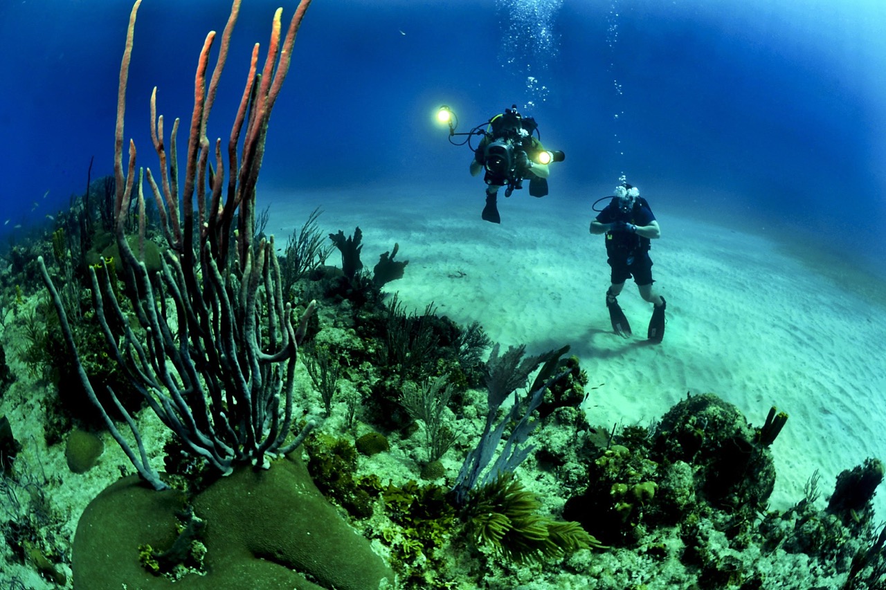 Scuba diving experience